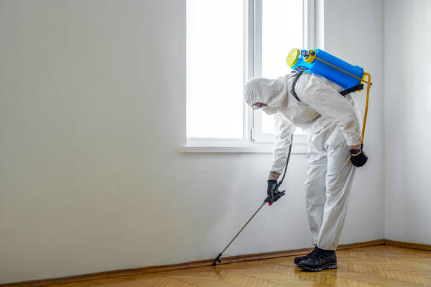 Best Residential Pest Control  in County Center, VA